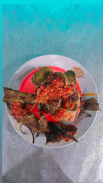 Ampera Mutia 01 (ZR)