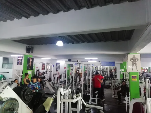 MARQS GYM