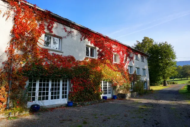 Les Neuf Bouleaux Chambres d'Hôtes