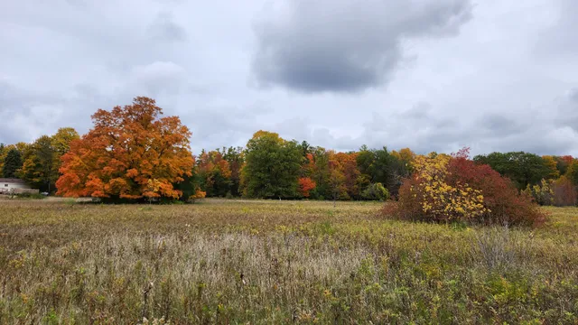 Bayshore Blufflands State Natural Area