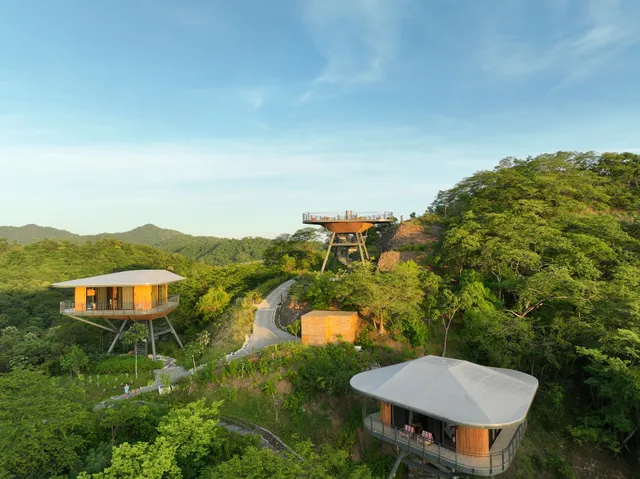 Suitree Experience Hotel