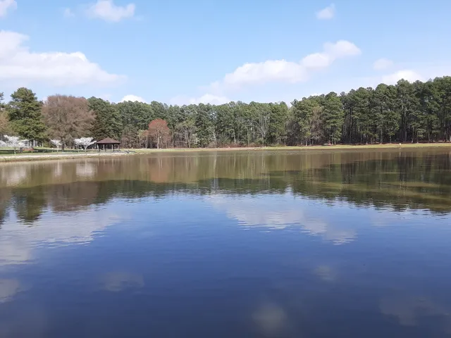 IBM RTP Disc Golf Club