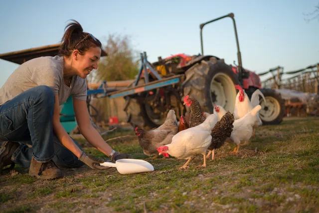 Le vigne del Moretto di Maria Gioia Cinquetti