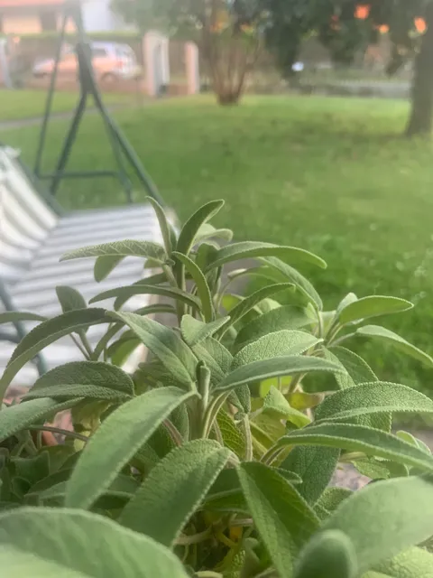 B&B Fly - transit, rest and go