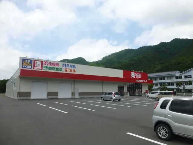 Godai Drug Mochigase