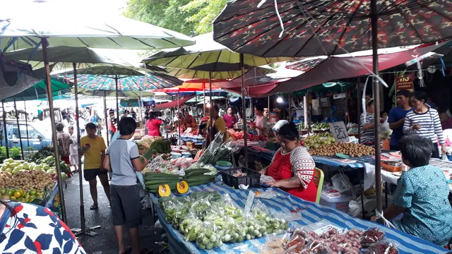 SUNDAY LOCAL MARKET