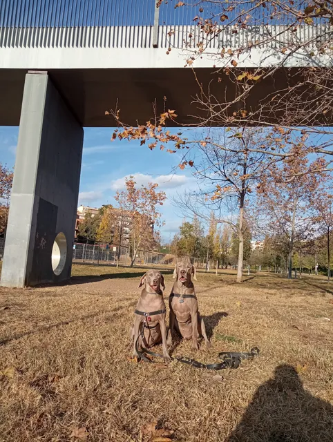 Vallparadís Can Jofresa