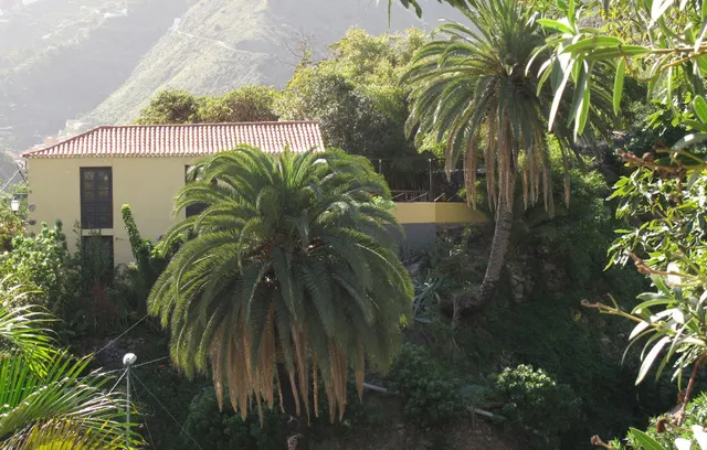 Casa rural Los Aromos