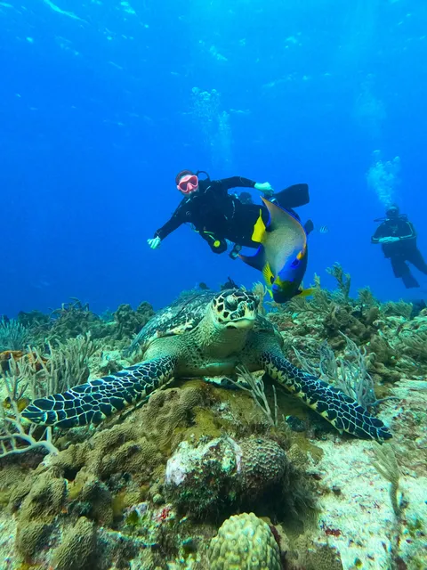 Cozumel Diving Trip