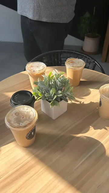 Electric Coffee Roasters