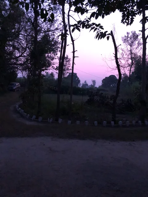 Croc Camp, Dudhwa