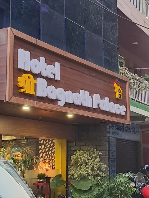 Shri Baghnath Palace