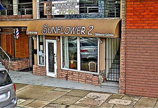 Sunflower Chinese Halal & Catering