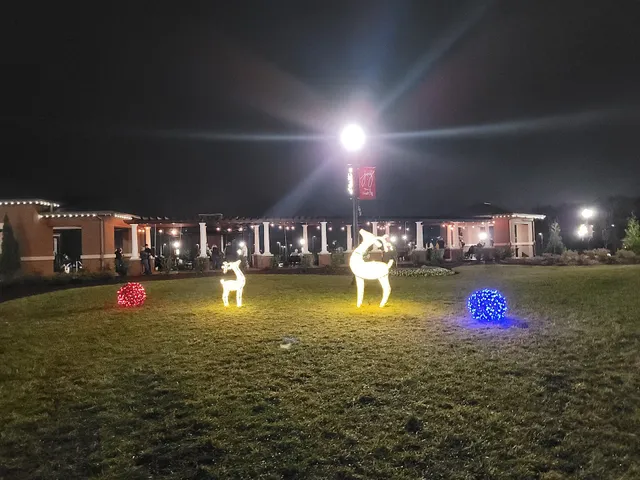 Forest City Christmas Lights