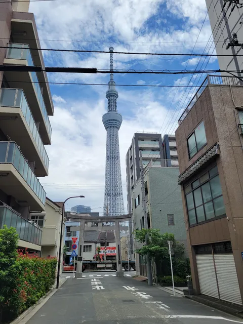 Ushijima Shrine Torii