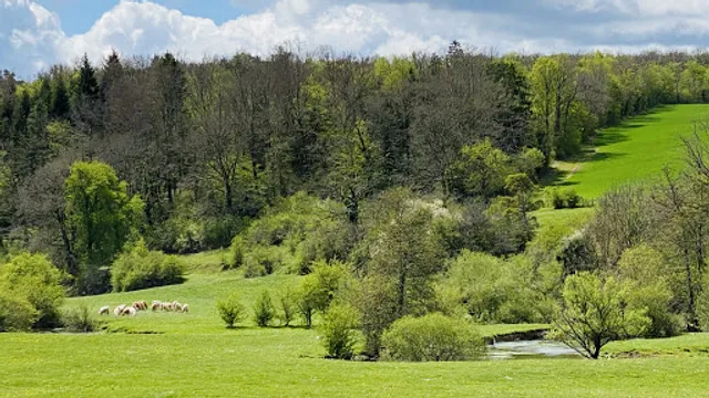 Parc national de forêts