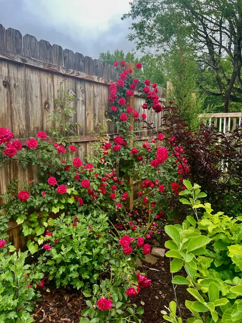 Aurora Art & Garden Gallery