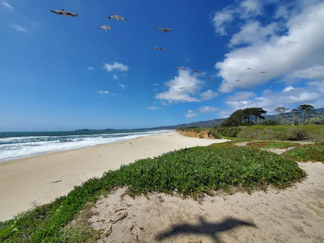 Half Moon Bay State Beach Visitor Center