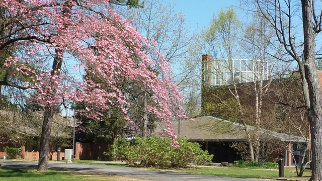 All Peoples, a Unitarian Universalist Congregation