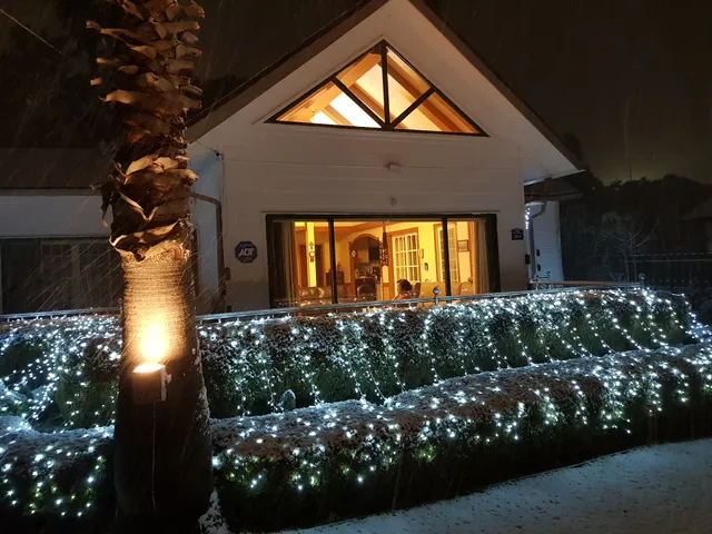 Both Ole Dog Bed and Breakfast