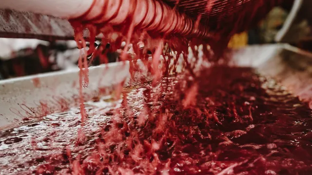 Dalvino Wine Company