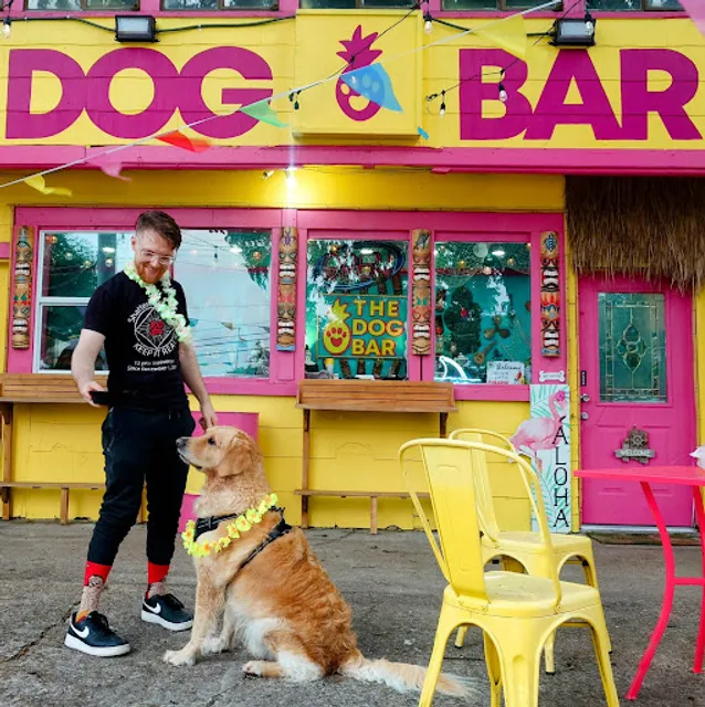 The Dog Bar