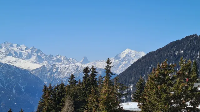 Apartment Bella Vista