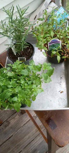 REC University Park Farm Stand