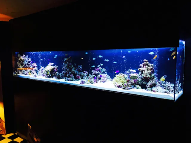 アクアリンク株式会社