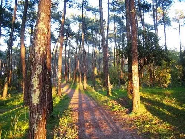 Le Duplex de Chiberta
