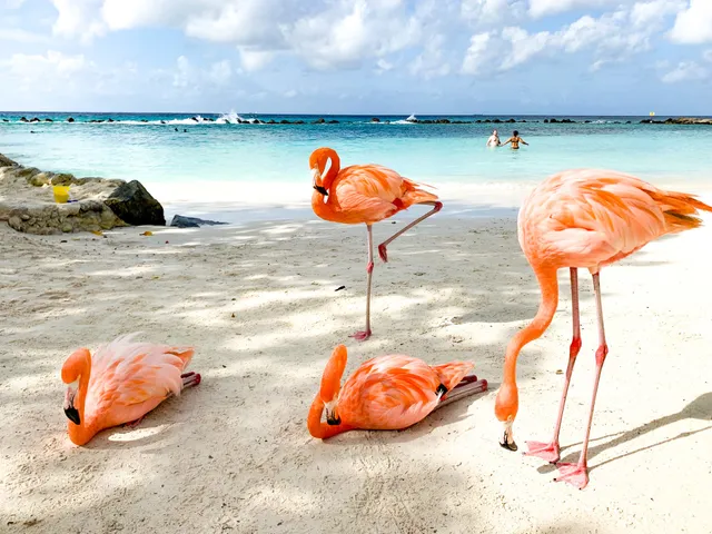 Renaissance Island Beach