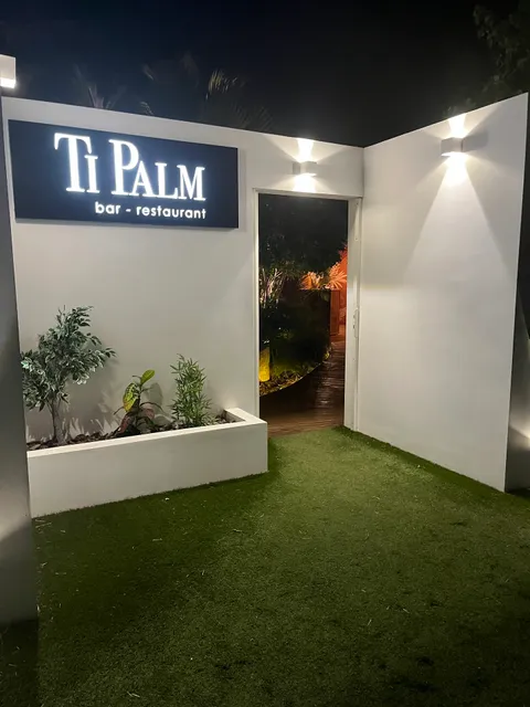 Ti Palm