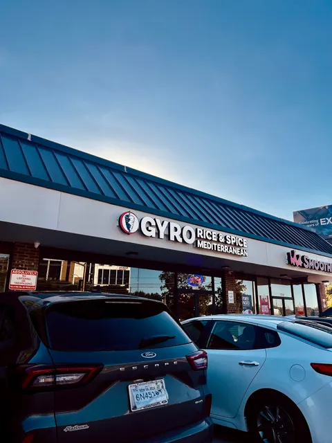 Gyro Rice and Spice