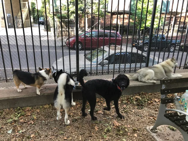 JH Crew Dog Park (Member Only)