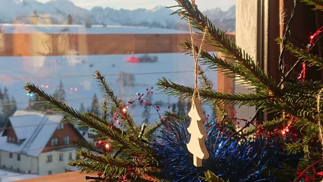 Domek Panorama Rzepiska