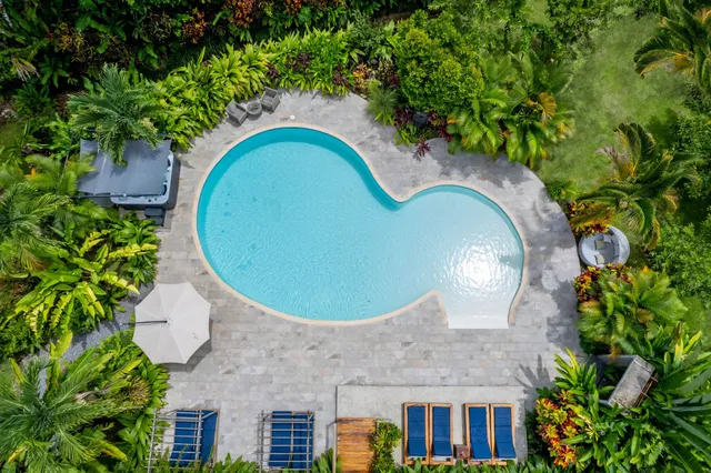 Noah's Forest by Tifakara