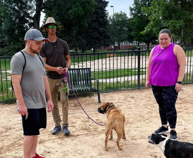 Chill Out Dog Training