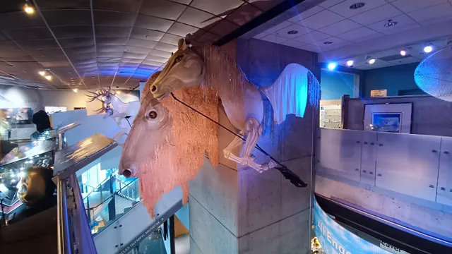 George Eccles Museum