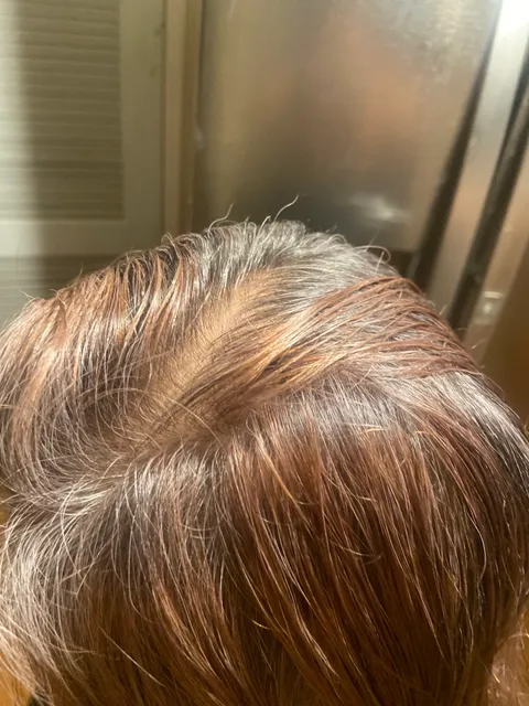 American Beauty College