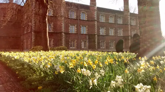 Jesus College, University of Cambridge