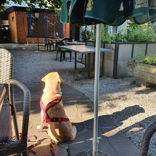 Kaffee Konditorei Pletzer