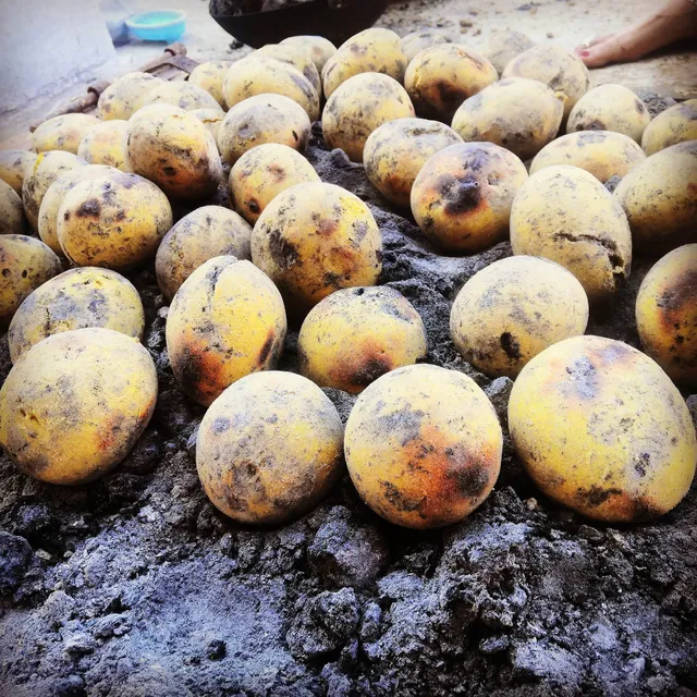 Vignharta Tiffin Centre