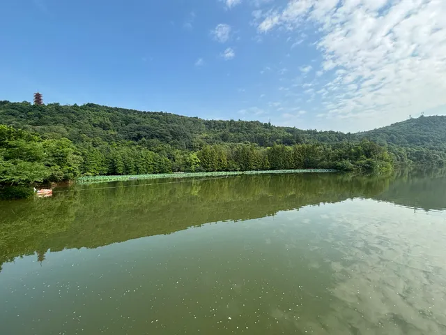 Zhaomushan Forest Park