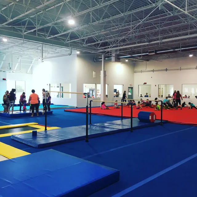 United Gymnastics Academy