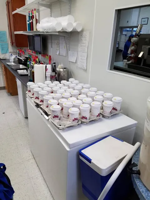 Jax Gourmet Coffee & Snow