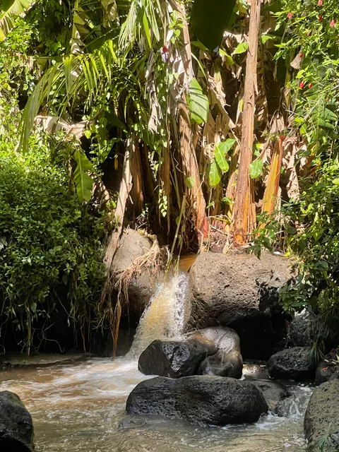 Makiki Valley Loop Trail