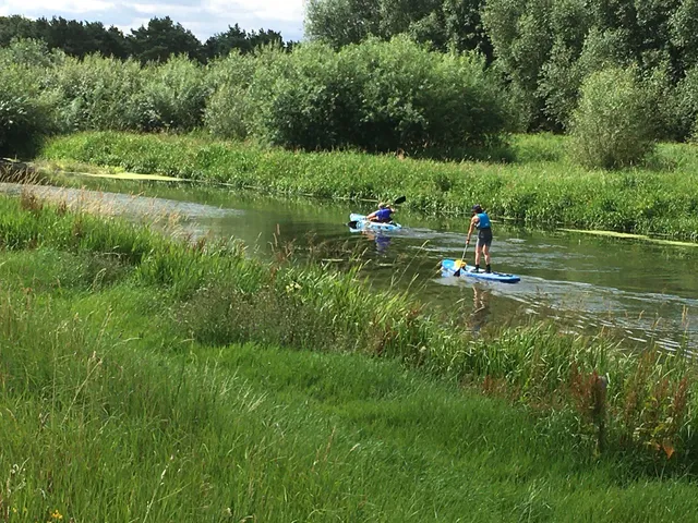 Baswick Steer Holiday Cottage