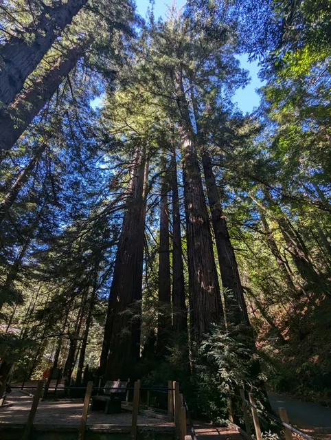 Pfeiffer Big Sur State Park Entrance Kiosk
