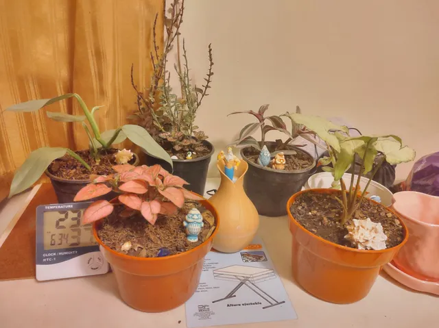 Vivero Las Orquideas