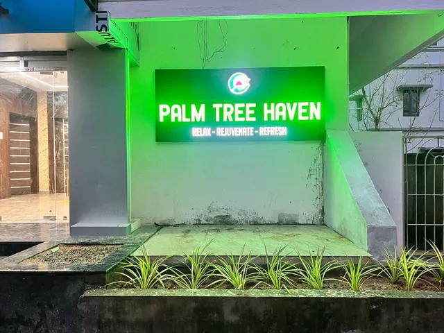 Palm tree haven